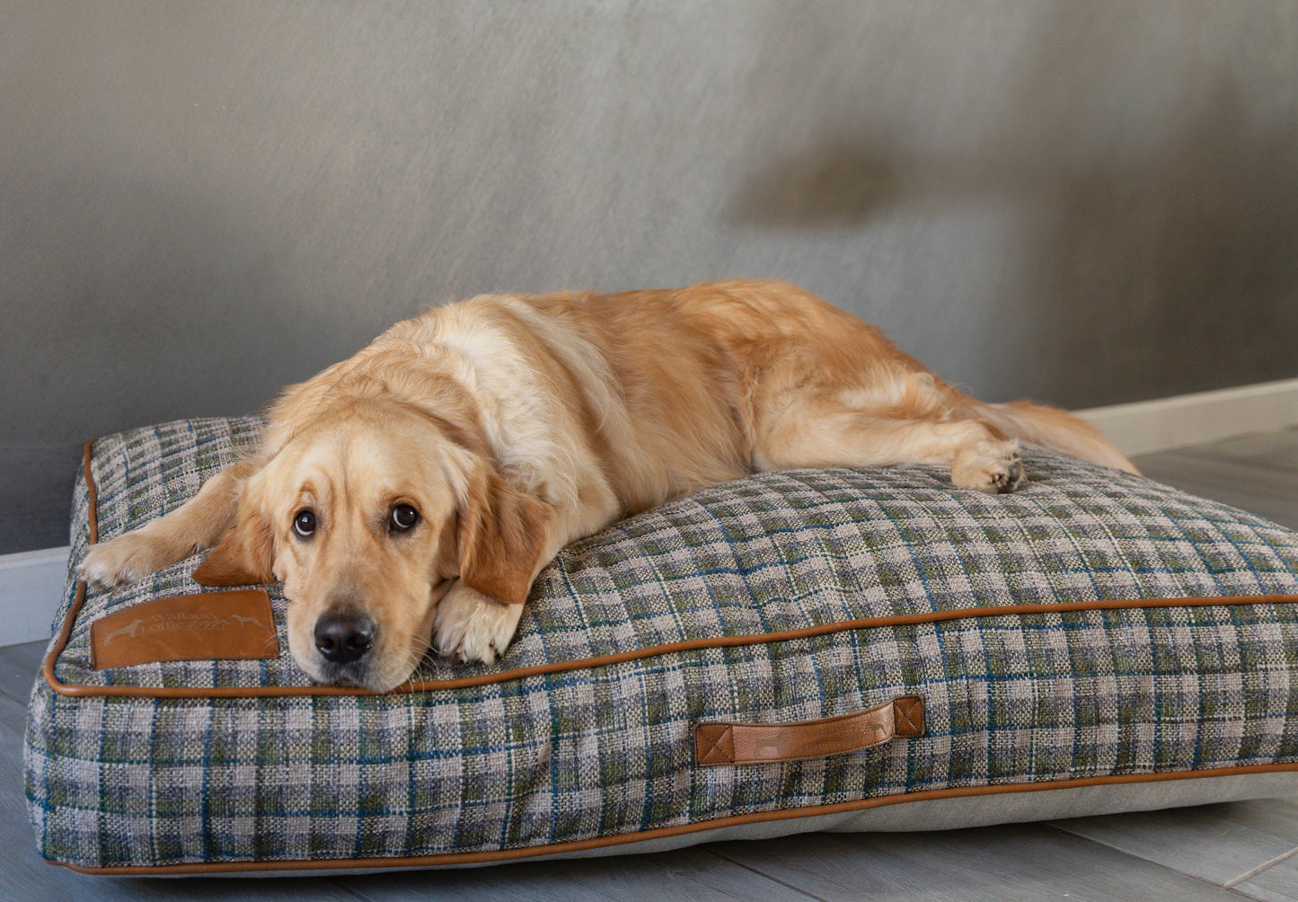 Green & Blue Plaid Dog Cushion