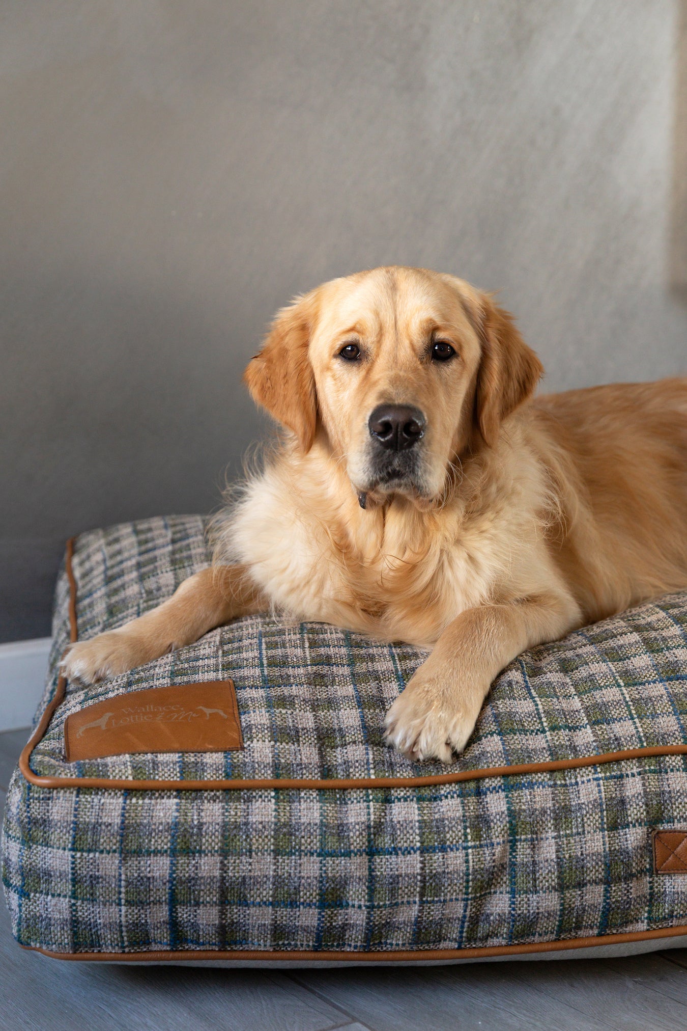 Green & Blue Plaid Dog Cushion