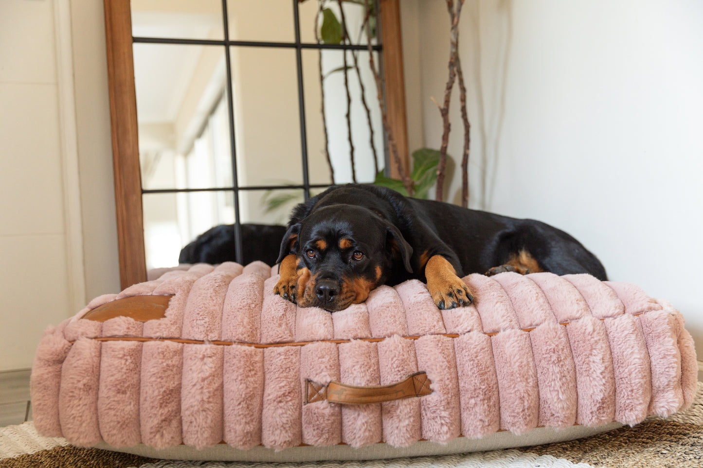Pink Fluffy Dog Cushion