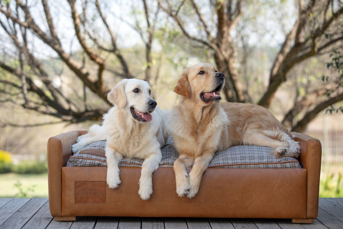 Leather Dog Sofa with Taupe Plaid Cushion