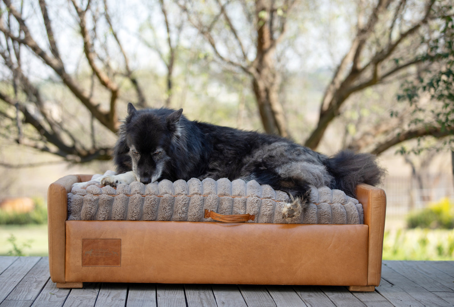 Leather Dog Sofa with Taupe Fluffy Cushion