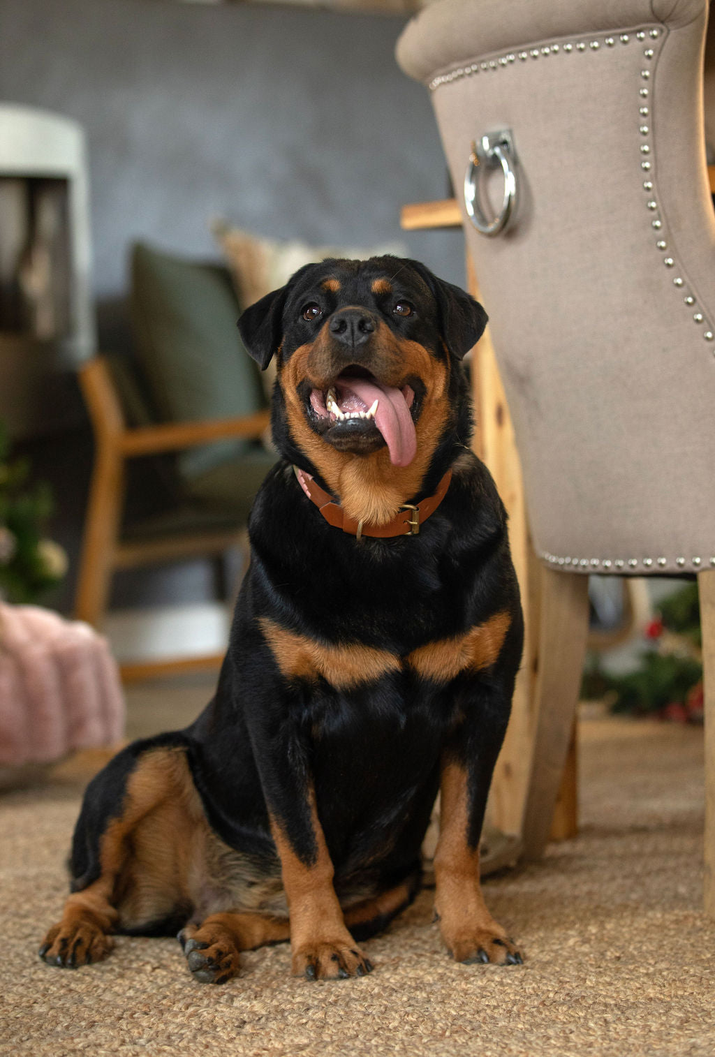 Dog Collar - Pink Blue and Tan