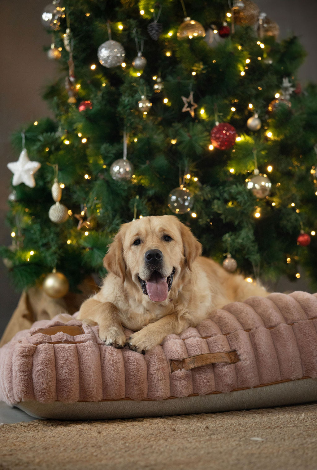 Dog bed - pink fluffy fabric