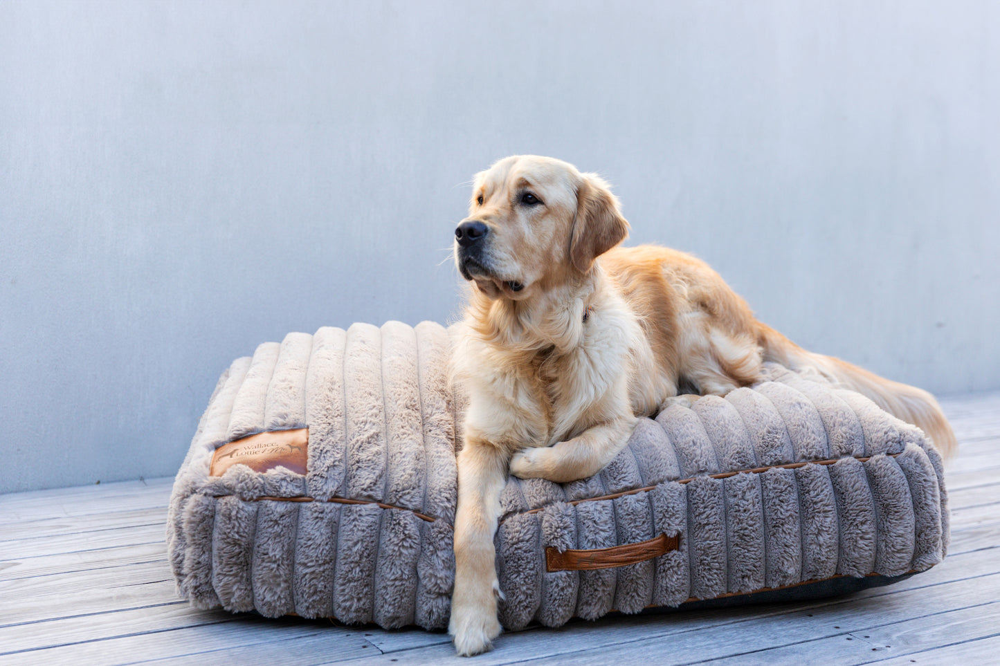 Taupe Fluffy Dog Cushion