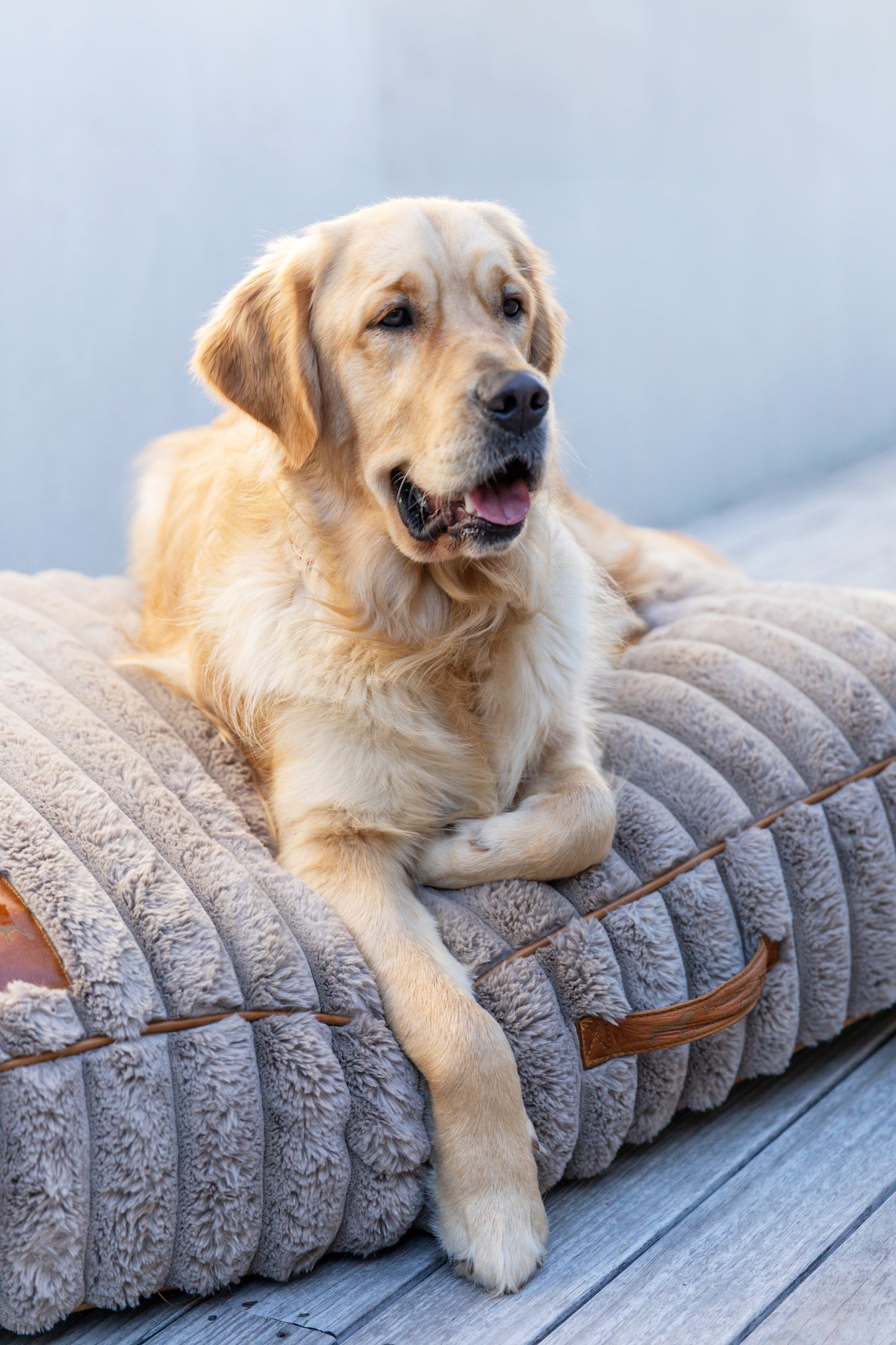 Taupe Fluffy Dog Cushion