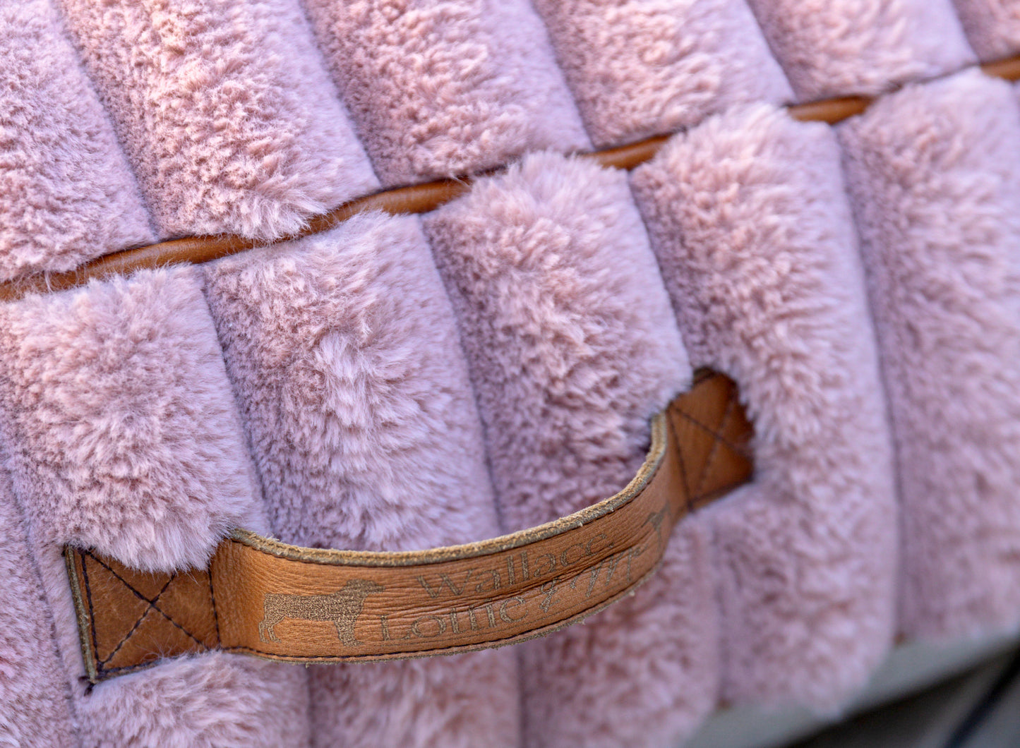 Pink Fluffy Dog Cushion