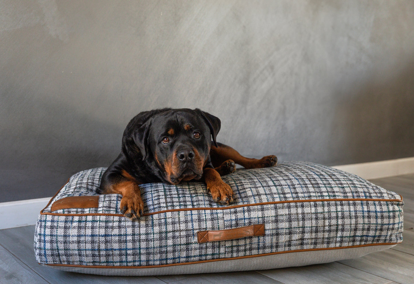 Grey & Blue Plaid Dog Cushion