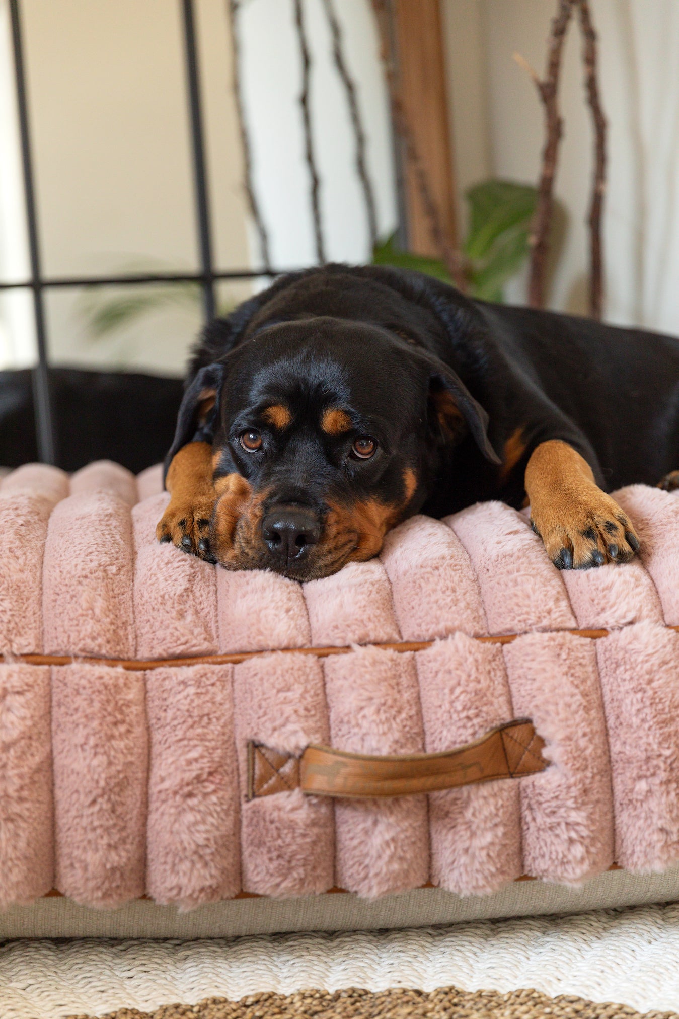 Pink Fluffy Dog Cushion