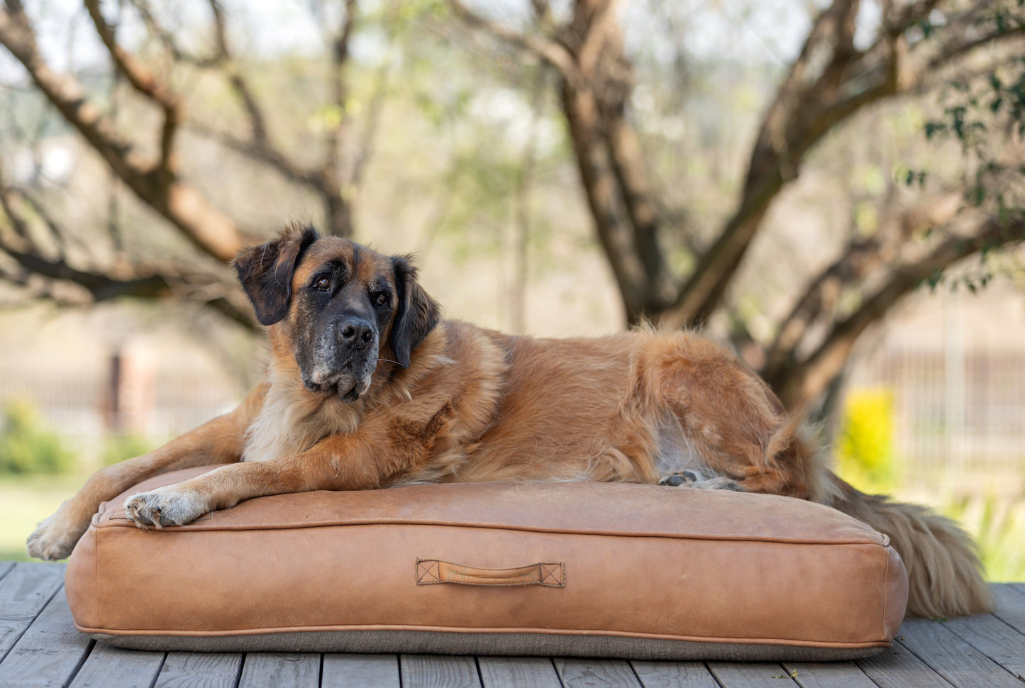 Full Leather Dog Cushion