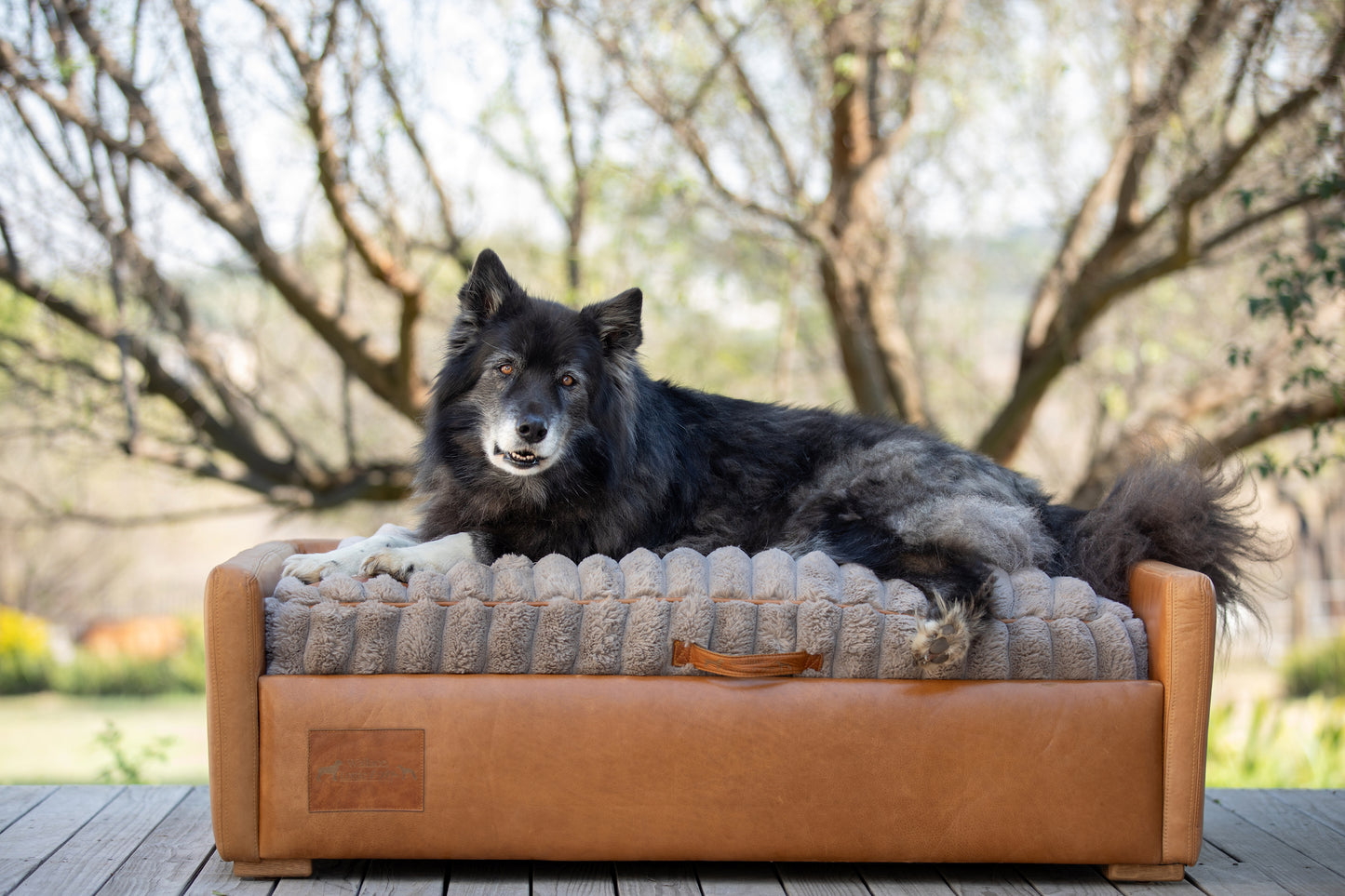 Leather Dog Sofa with Taupe Fluffy Cushion