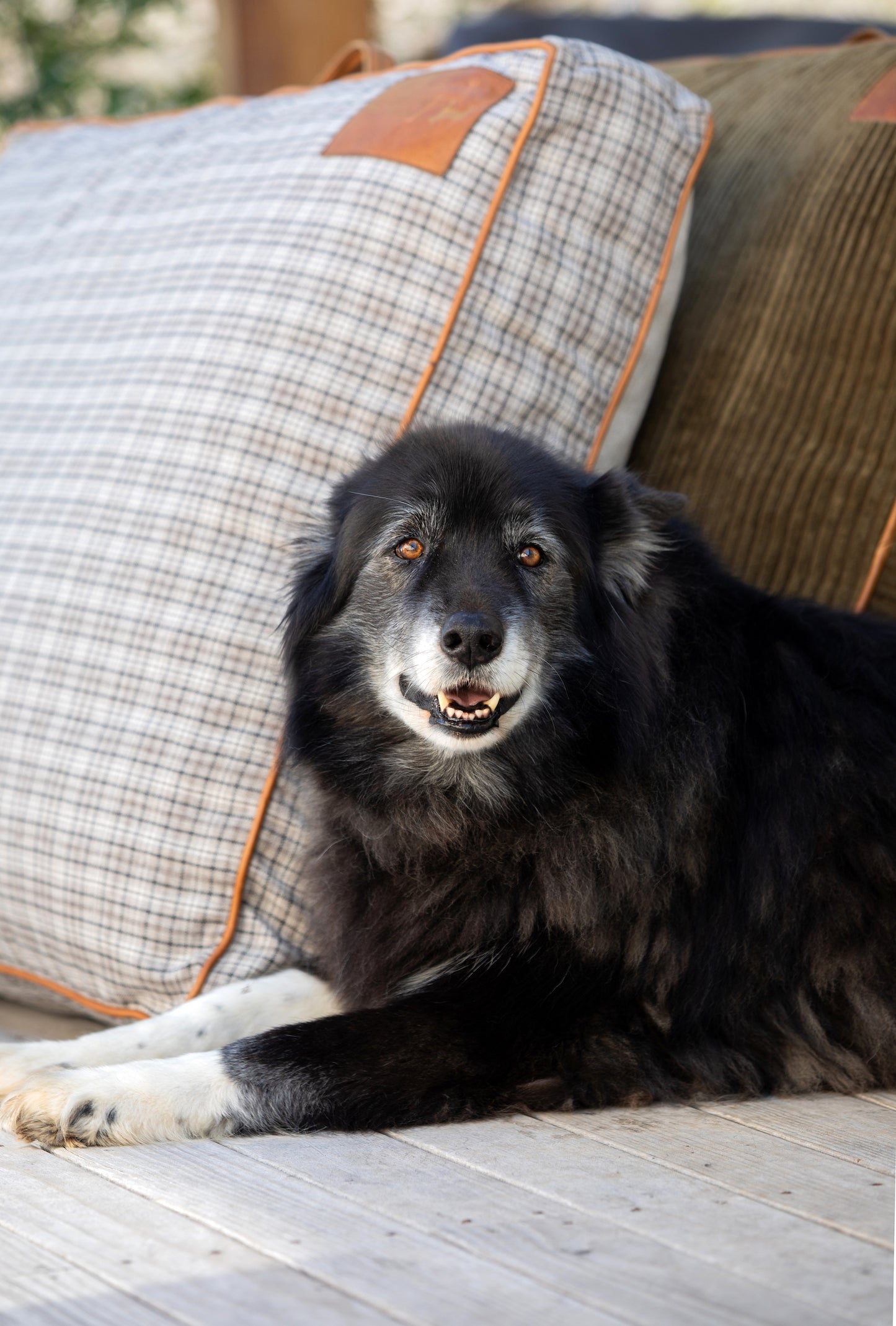 Taupe Plaid Dog Cushion