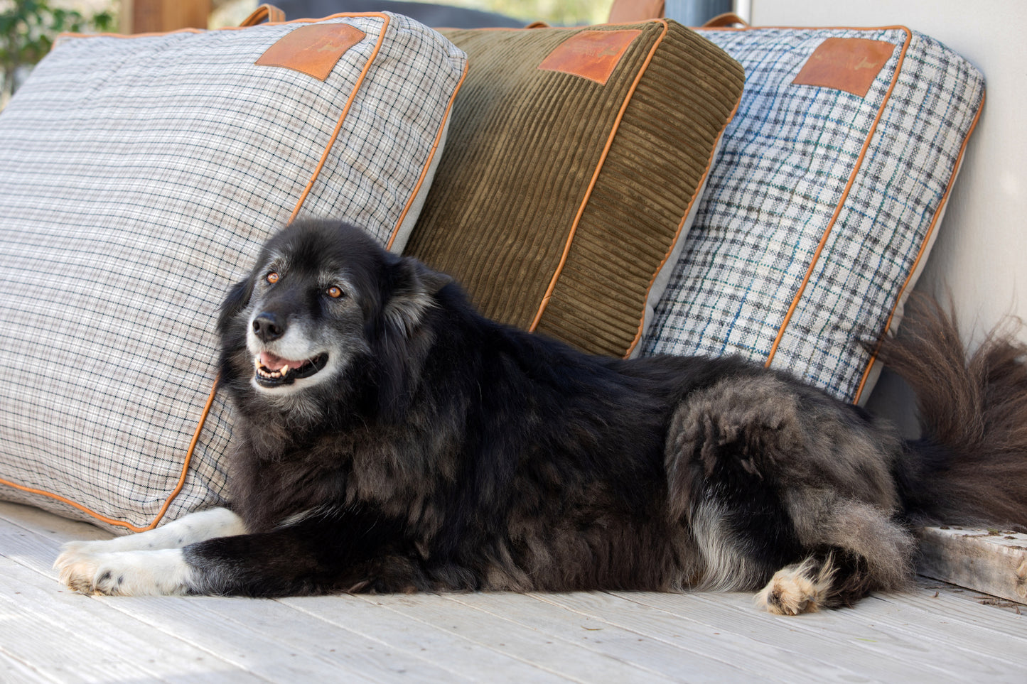 Green Corduroy Dog Cushion.