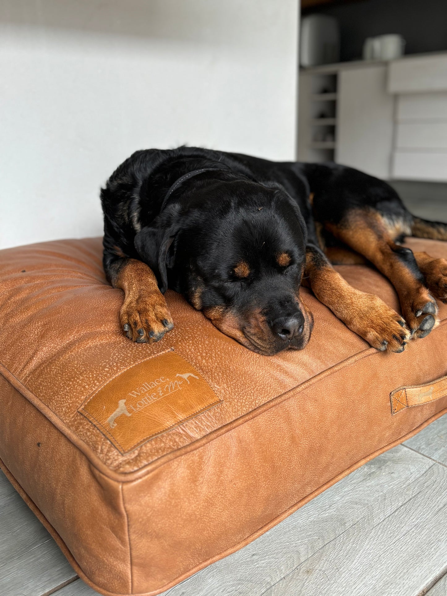 Dog bed - Full Leather