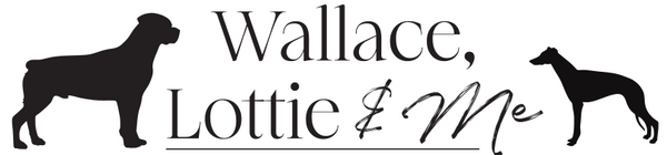 Wallace Lottie & Me